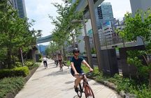 Tokyo Guided Small-Group Biking Tour
