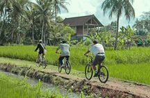 Bali Countryside Eco Cycling Tour include Lunch