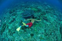 Bali Lembongan Island Beach Club Day Trip