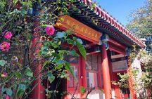 Beijing Half Day Tour: 798 Art Zone, Houhai Lake and Hutong with Rickshaw Ride