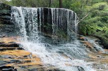 Ultimate Blue Mountains Private Tour with Scenic World and Wildlife Park