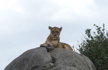 6-Day Northern Safari