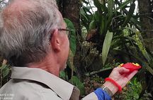 Mindo Nature & Birds Private Tour 