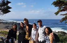 Coastal Charms and Vineyard Bliss with Isla Negra & Undurraga