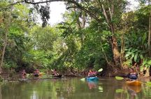Manuel Antonio: Mangrove Boat Experience