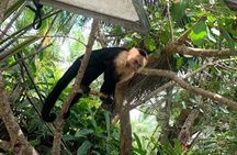 Manuel Antonio: Mangrove Boat Experience