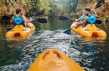 Amazing Mayan Tour Xenotes from Cancun 