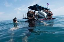Pattaya PADI Beginner Scuba Diving One Try Dive Depth 6 Meters and Snorkeling )