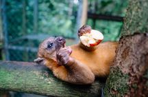 KSTR Re-Wilding Center Manuel Antonio (Sloth/Primate Park) 
