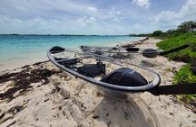 Clear Kayak Mangrove Eco Tour