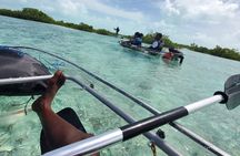Clear Kayak Mangrove Eco Tour