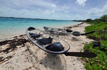 Clear Kayak Mangrove Eco Tour