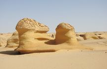 Full Day Fayoum Oasis and Waterfalls of Wadi El-Rayan