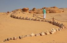 Full Day Fayoum Oasis and Waterfalls of Wadi El-Rayan