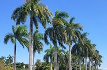 Palm Beach Tour from Miami - Flagler's Museum + Hotel Breakers