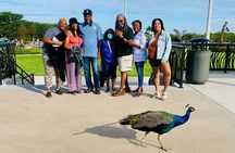 Everglades Tour from Miami