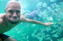 Day Tour to Angra dos Reis and Ilha Grande