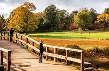 Lexington & Concord 3 hour private tour from Boston, groups 1-4
