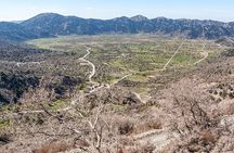 Wine & Olive Oil Tour with lunch at the White Mountains