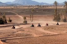 Private quad ride in the desert of the palm grove