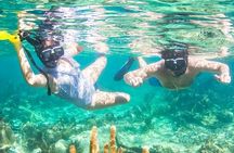  Fun & Sun Wildlife Encounter + Brady's Cay Daypass 