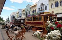 Lyttelton Shore Excursion - City Highlights & Waipara Wine Tour 