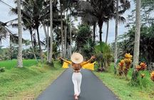 Ubud culture,art and nature tour.