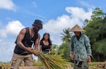 Ubud culture,art and nature tour.