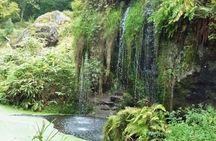 Blarney Castle Cork City and Jameson Distillery Small groups
