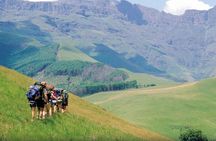 Drakensberg and Nelson Mandela Capture Site Full-Day Private Tour