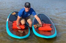 Dolphin and Manatee Tour of Marco Island by Kayak or SUP