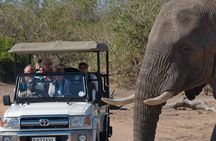 3 Days in Victoria Falls & Chobe National Park Combo