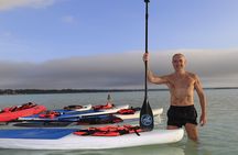 Sunrise Paddle Quest: Embrace the Dawn on Bacalar's Waters