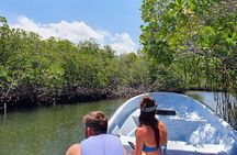 Private Tour to Paradise Island with Snorkel & Manatee Sanctuary