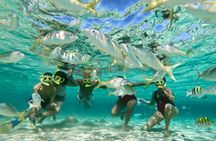Private Tour to Paradise Island with Snorkel & Manatee Sanctuary