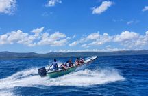 Private Tour to Paradise Island with Snorkel & Manatee Sanctuary