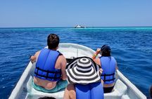 Private Tour to Paradise Island with Snorkel & Manatee Sanctuary