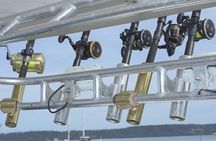 Sport Fishing Tours 