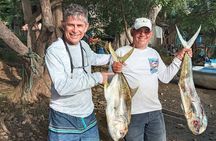 Sport Fishing Tours 