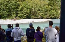 Grizzly Bear Expedition