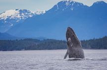 7 Hour Big Animal Encounter