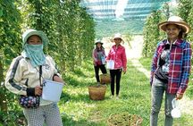 Exploring Kampot: A Memorable Tour from Sihanoukville