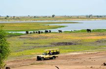 Chobe National Park Day Trip from Victoria Falls with Lunch