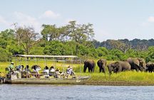 Chobe Boat Cruise & Game Drive Day Trip From Livingstone