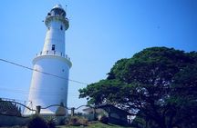 Magical Fireflies Tour