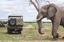 Chobe National Park Day Trip from Victoria Falls with Lunch