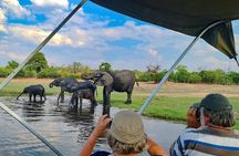 Chobe National Park Day Trip from Victoria Falls with Lunch