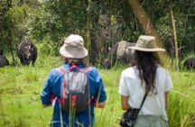 3 Days gorilla trekking Safari tour in Uganda