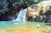 Sinharaja Rainforest & Udawalawe Safari - 2 Days, All Inclusive