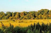 Sinharaja Rainforest & Udawalawe Safari - 2 Days, All Inclusive